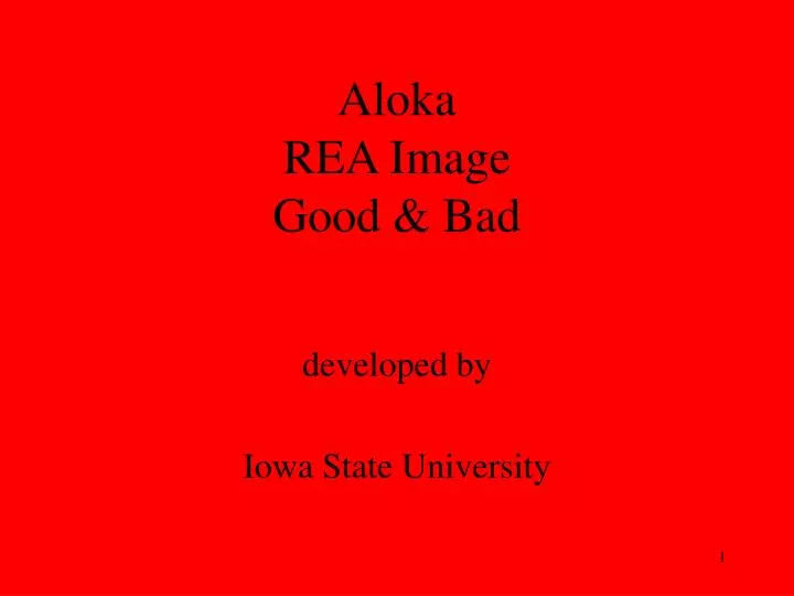 aloka rea image good bad