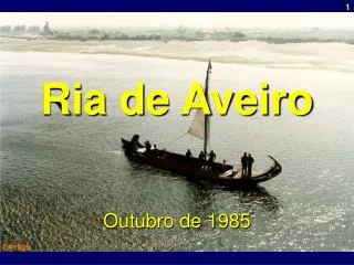 ria de aveiro