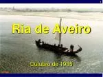 Ria de Aveiro - slide 1