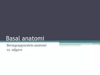 basal anatomi