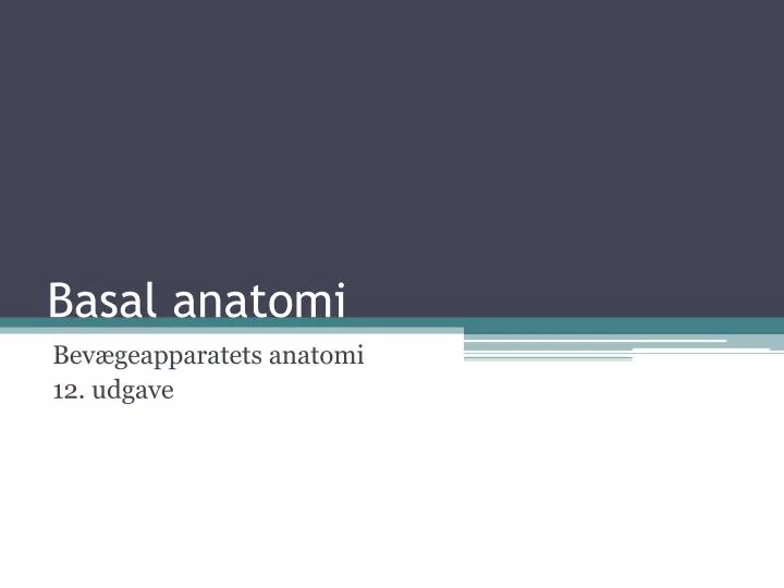 basal anatomi