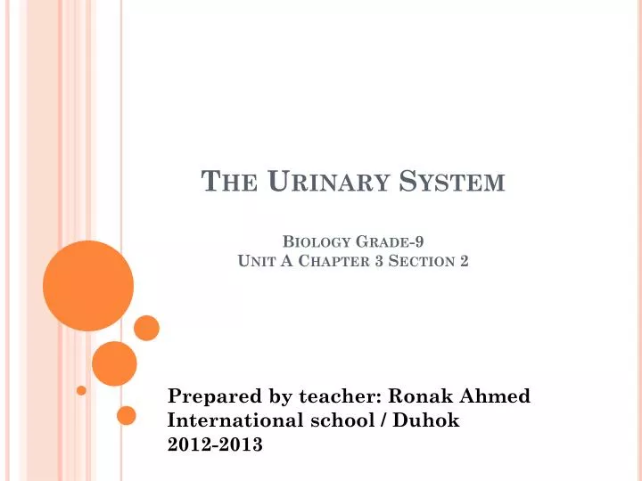 the urinary system biology grade 9 unit a chapter 3 section 2
