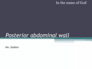 Posterior abdominal wall