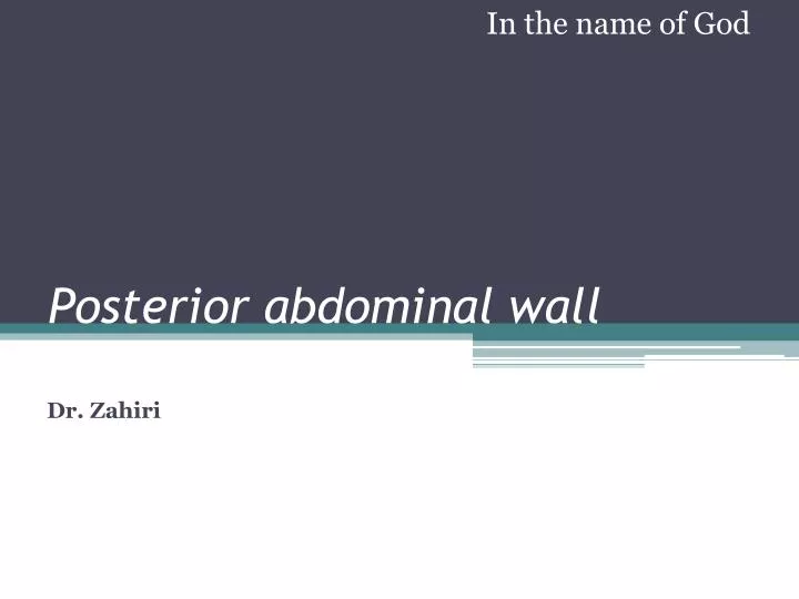 posterior abdominal wall