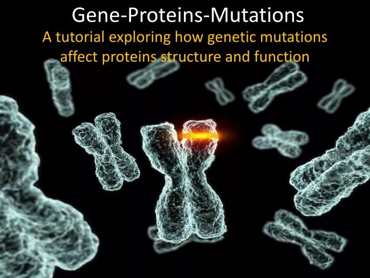gene proteins mutations