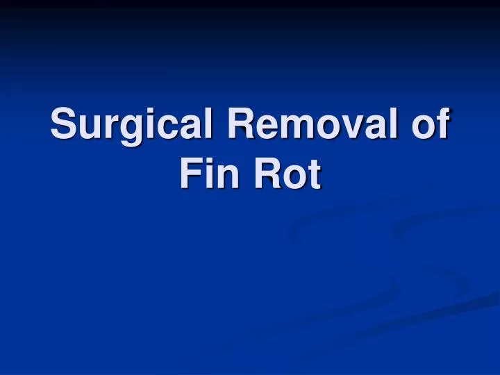 surgical removal of fin rot