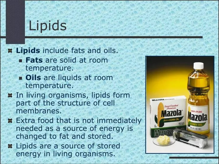 lipids