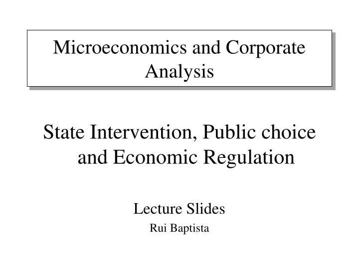 microeconomics and corporate analysis