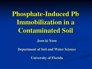 Phosphate-Induced Pb Immobilization in a Contaminated Soil