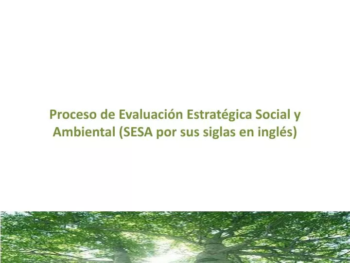 proceso de evaluaci n estrat gica social y a mbiental sesa por sus siglas en ingl s