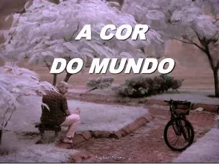 a cor do mundo
