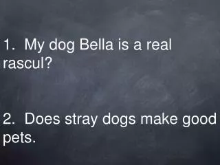 1. My dog Bella is a real rascul? 2. Does stray dogs make good pets.