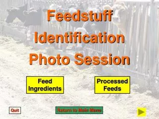 Feedstuff Identification Photo Session