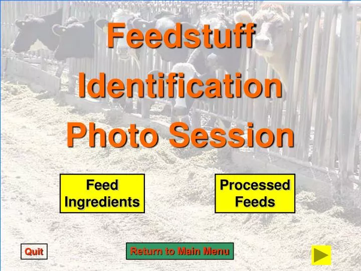 feedstuff identification photo session