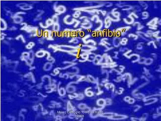 un numero anfibio