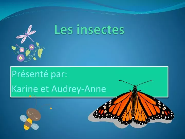 les insectes