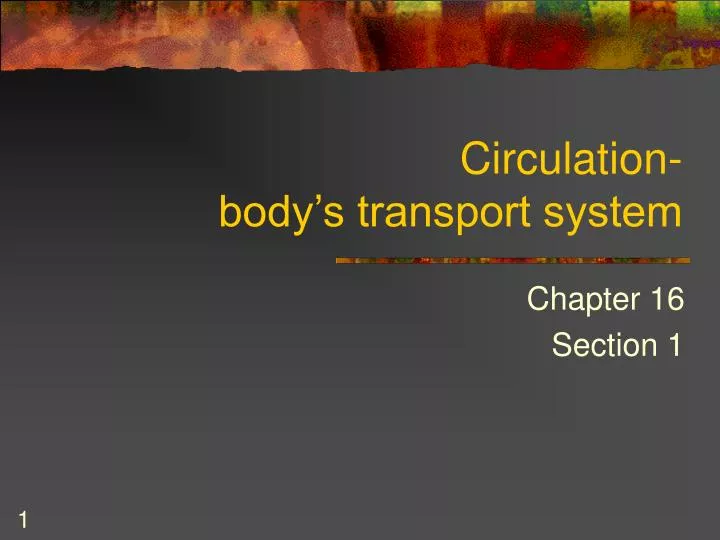 circulation body s transport system