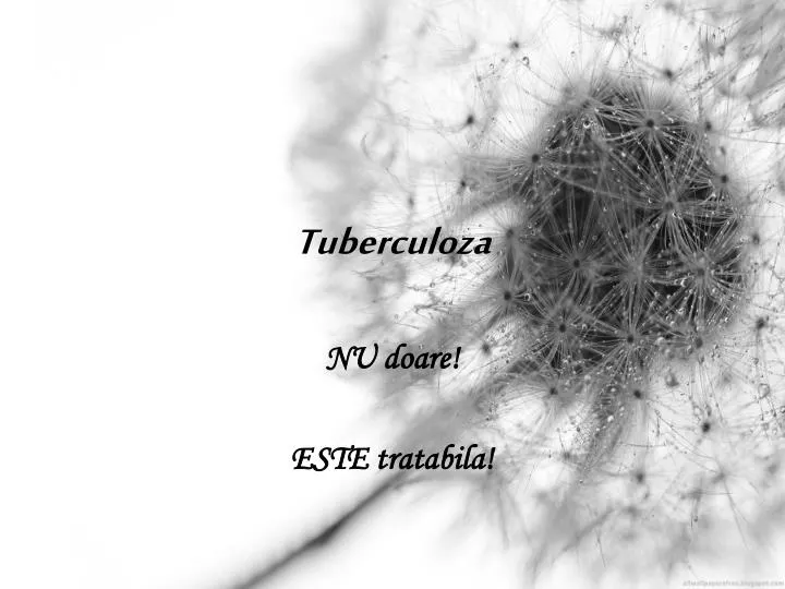tuberculoza