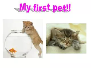 My first pet!!