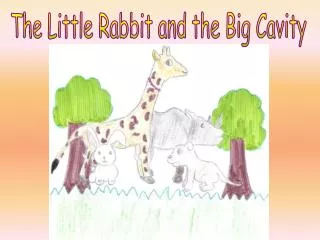 The Little Rabbit and the Big Cavity