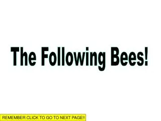 The Following Bees!