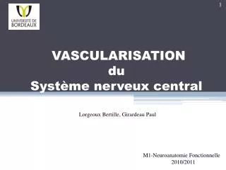 vascularisation du syst me nerveux central
