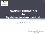 VASCULARISATION du Système nerveux central - slide 1