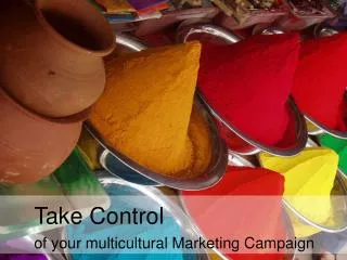 Take Control of your multicultural Marketing Campaign