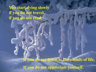 You start dying slowly if you do not travel, if you do not read,