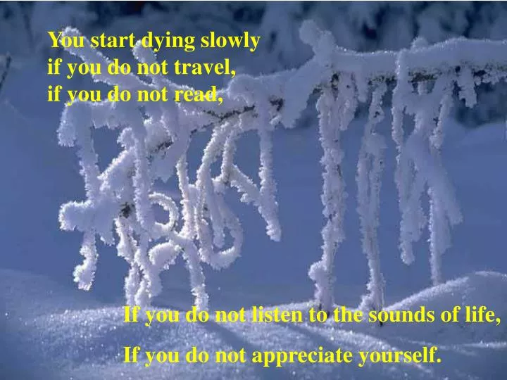 you start dying slowly if you do not travel if you do not read