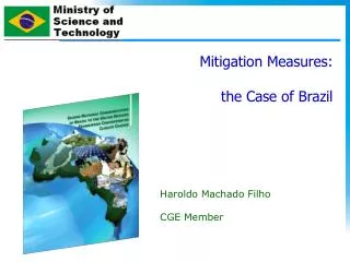 Mitigation Measures: the Case of Brazil