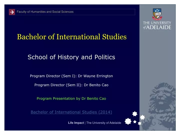 bachelor of international studies