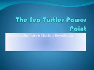 The Sea Turtles Power Point