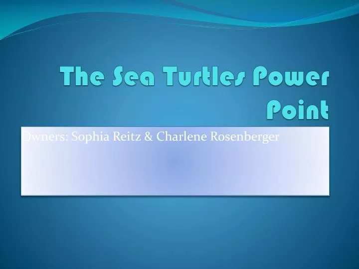 the sea turtles power point