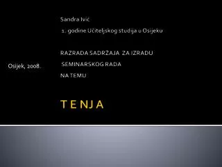 osijek 2008