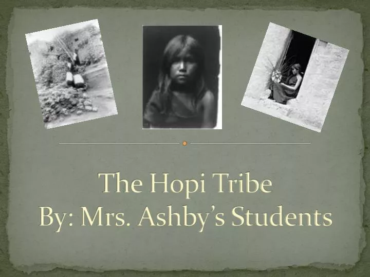 the hopi tribe by mrs ashby s students