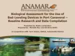 Biological Assessment of Bed-Leveling Devices in Port Canaveral: Impacts on Sea Turtles - slide 1