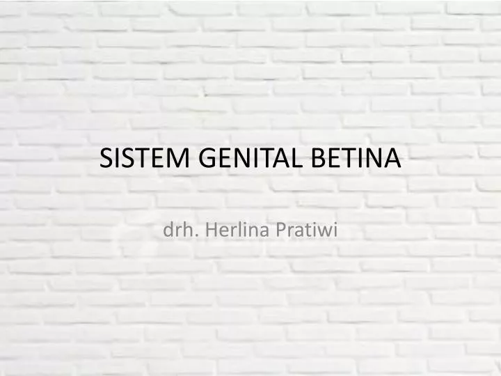sistem genital betina