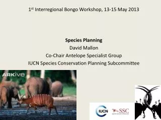 1 st Interregional Bongo Workshop, 13-15 May 2013 Species Planning David Mallon