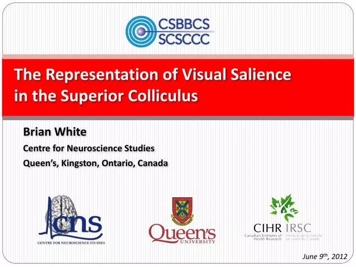 the representation of visual salience in the superior colliculus
