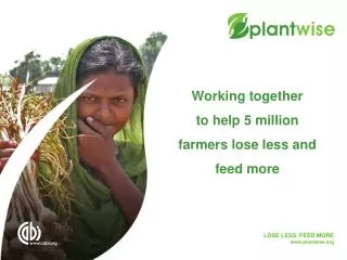 Working together to help 5 million farmers lose less and feed more