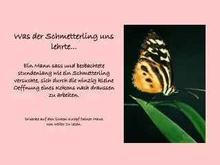 Was der Schmetterling uns lehrte...