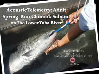 Acoustic Telemetry: Adult Spring-Run Chinook Salmon on The Lower Yuba River