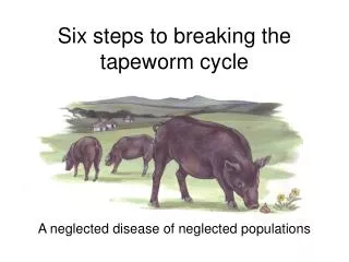 Six steps to breaking the tapeworm cycle