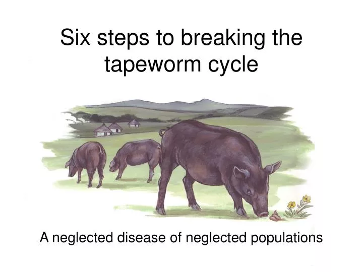 six steps to breaking the tapeworm cycle