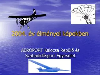 2004 v lm nyei k pekben