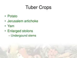 Tuber Crops