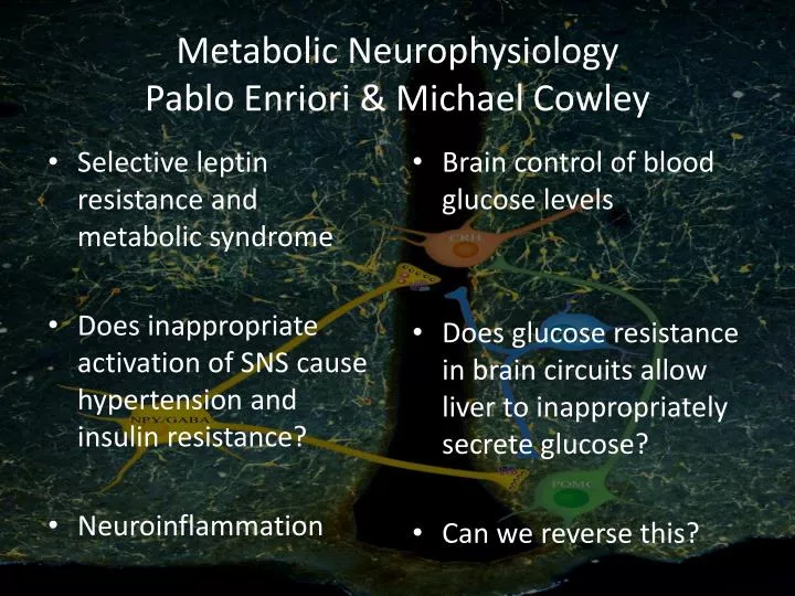 metabolic neurophysiology pablo enriori michael cowley
