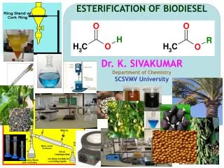 ESTERIFICATION OF BIODIESEL Dr. K. SIVAKUMAR Department of Chemistry SCSVMV University
