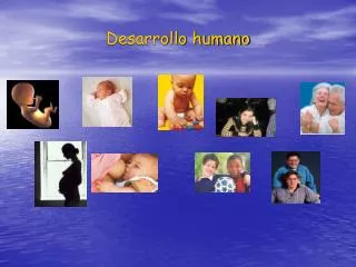 desarrollo humano